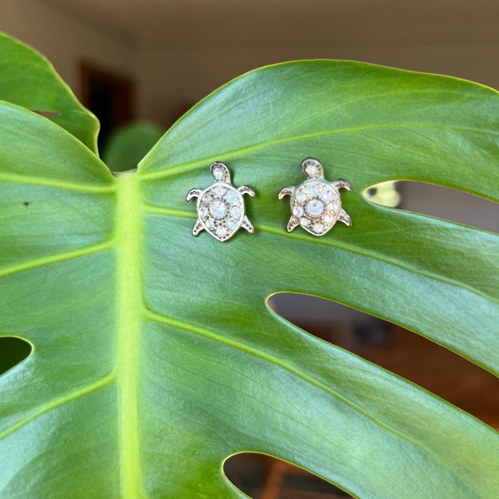 Sea turtle earrings